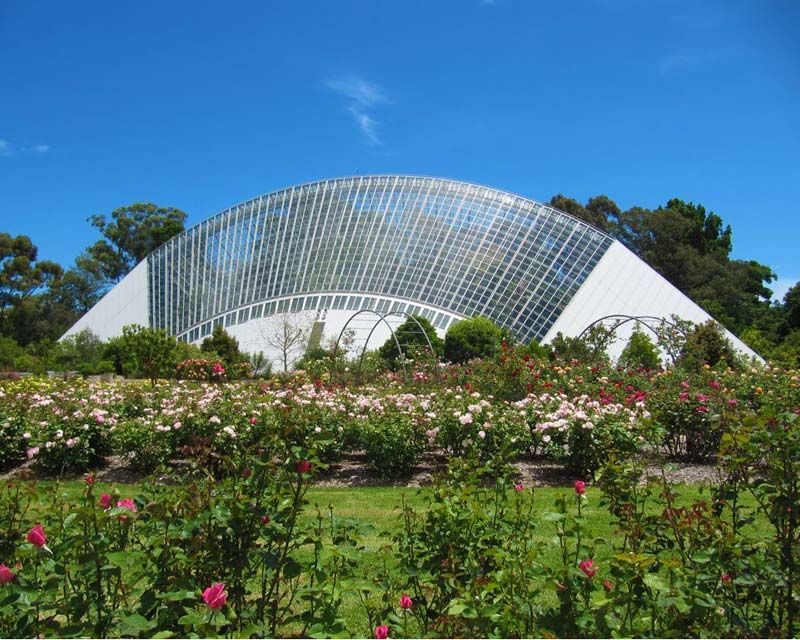 Adelaide-Botanic-Glasshouse