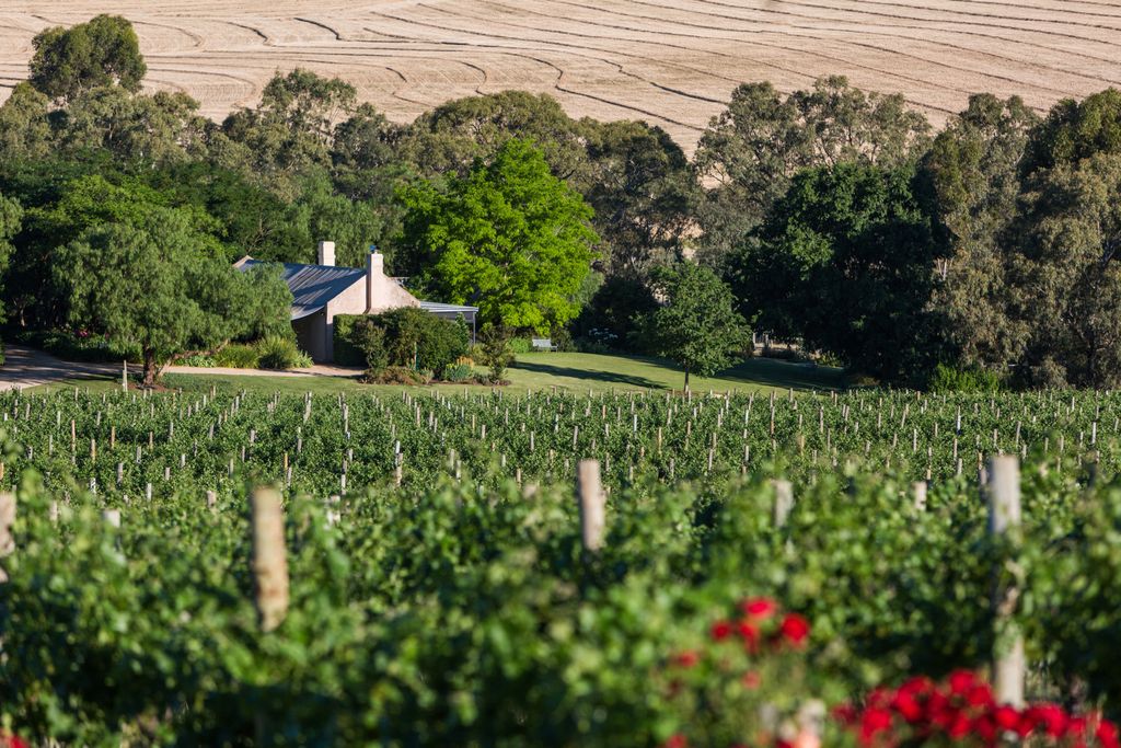 Barossa valley wineries