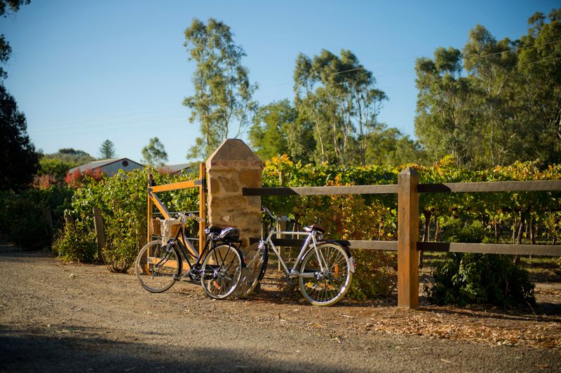 tours to clare valley from adelaide