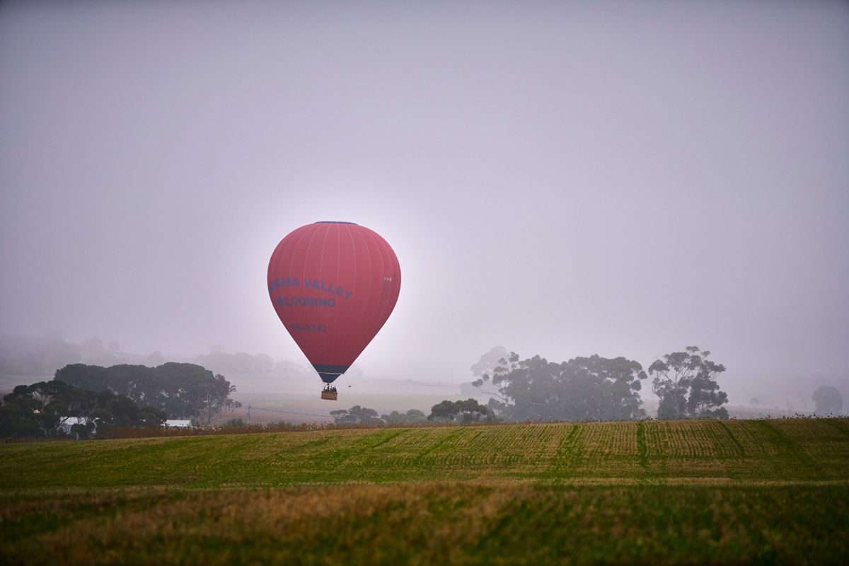 Hot air balloon barossa