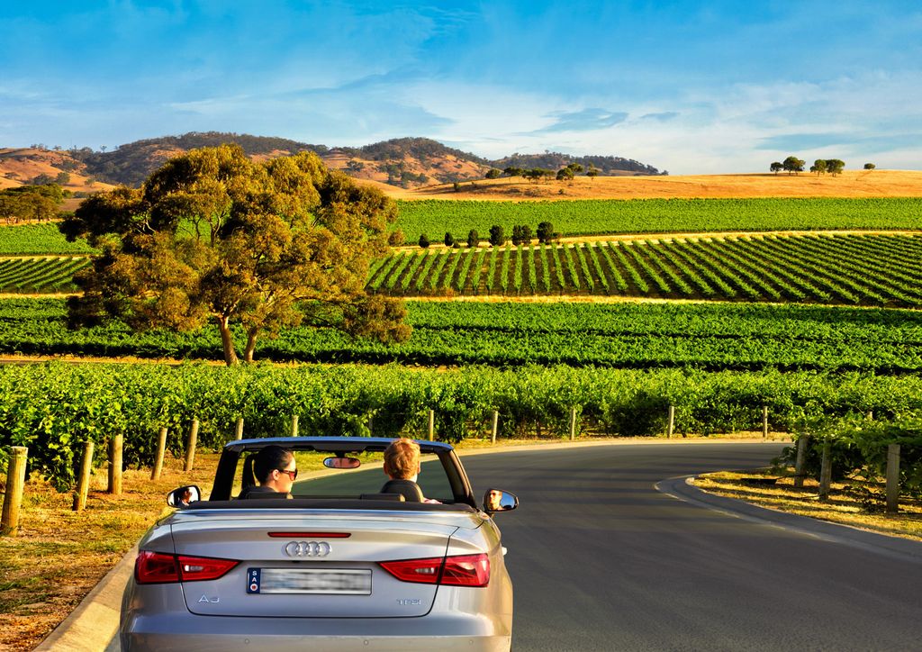 Things to do in the Barossa valley