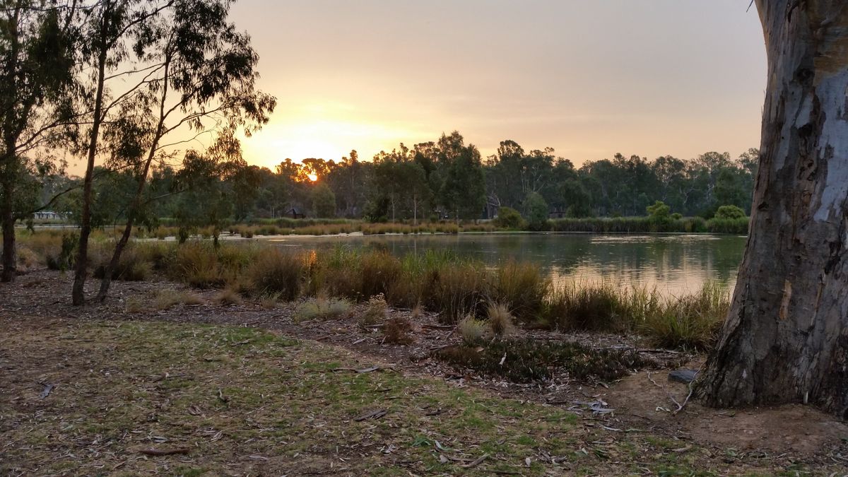 Victoria lake in shepparton at sunset