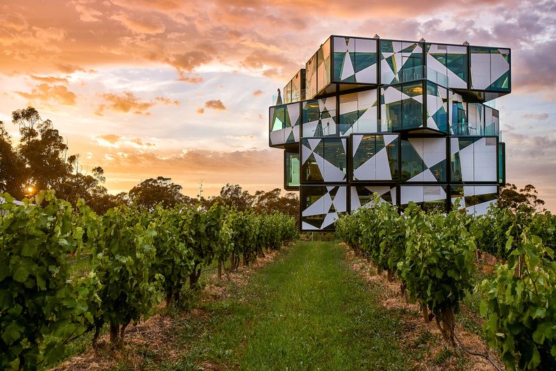 d'arenburg cube and winery in Mclaren vale 