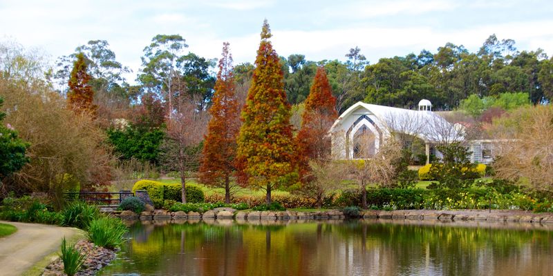 Hunter Valley botanic gardens with orange leaves 