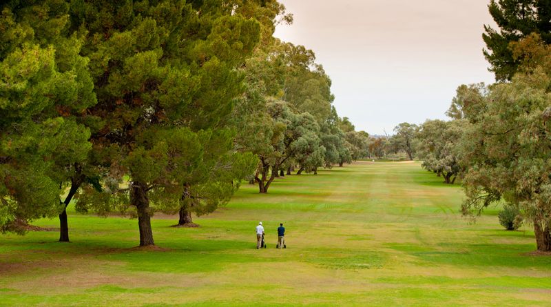 golf course in the riverland