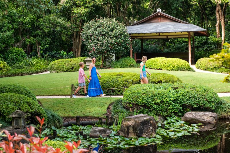 Brisbane botanical gardens 