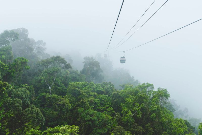 cableway over the rainforest near cairns